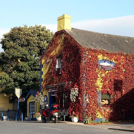 Kingfisher Lodge & Pub Castleconnell Exterior photo